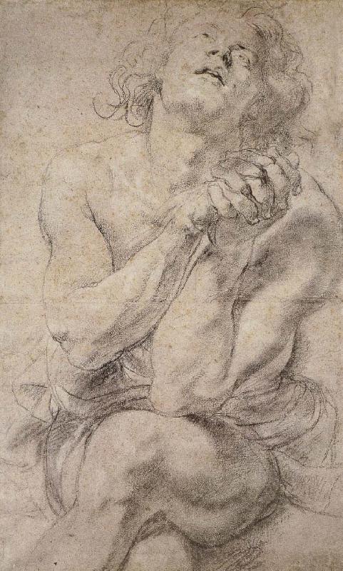 Peter Paul Rubens Daniel oil painting image